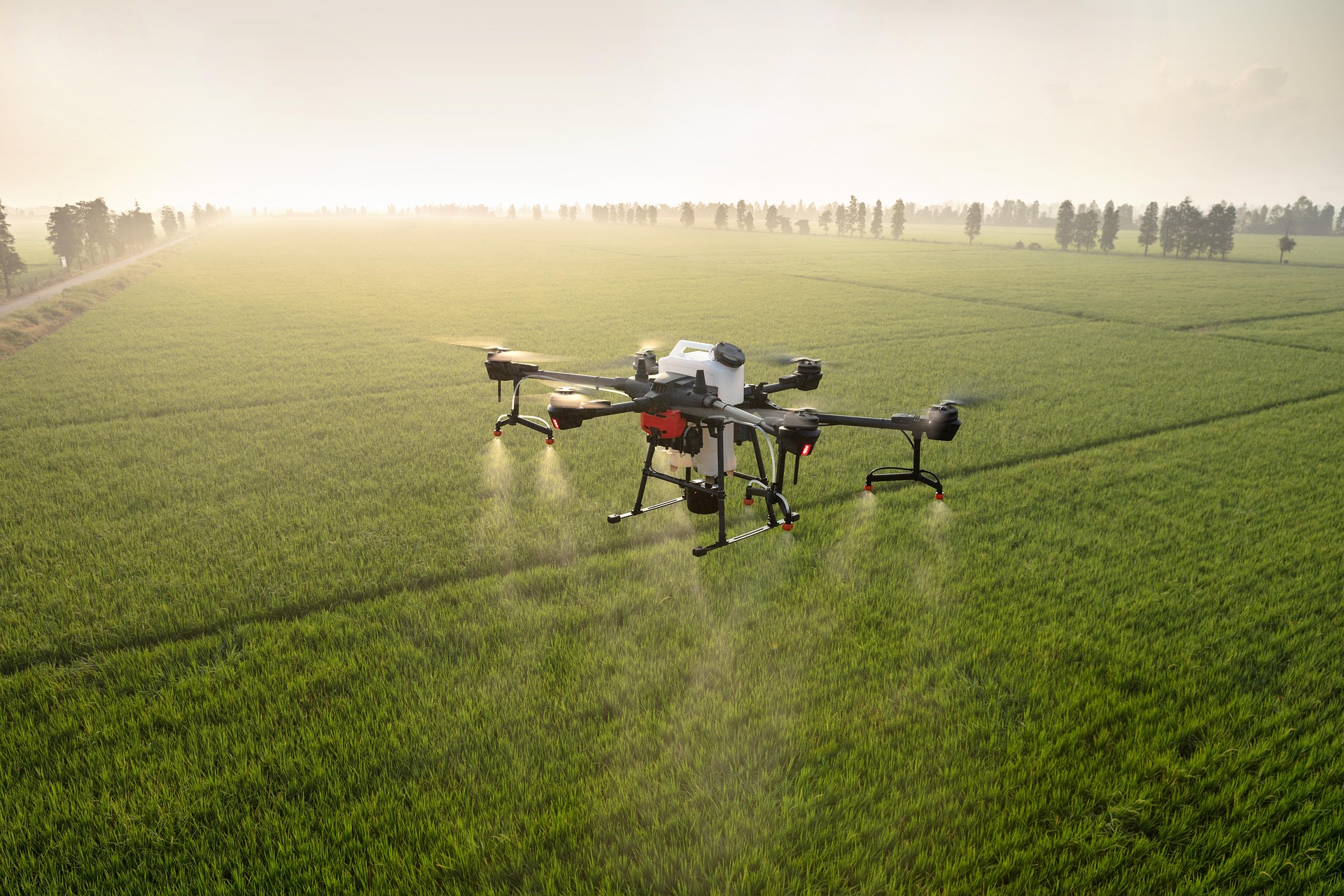 A drone spraying a misty green field at sunrise